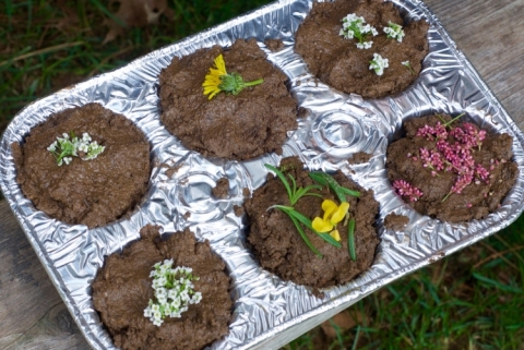 Mud pie muffins activity