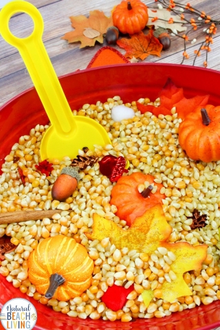 Fall popcorn sensory bin