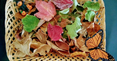 Leaf sorting bin for fall Montessori Monday