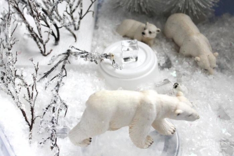 Polar Bear Sensory Bin Photo credit: www.earlylearningideas.com