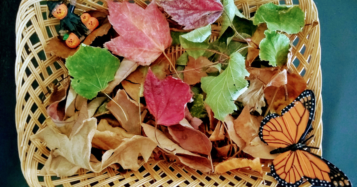 Leaf sorting bin for fall Montessori Monday